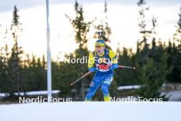 17.11.2024, Sjusjoen, Norway (NOR): Dmytro Pidruchnyi (UKR) - Biathlon Season Opening, mass, Sjusjoen (NOR). www.nordicfocus.com. © Nordnes/NordicFocus. Every downloaded picture is fee-liable.