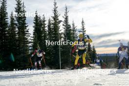 17.11.2024, Sjusjoen, Norway (NOR): Erlend Hauan (NOR), Thomas Lysberg Lehn (NOR), (l-r) - Biathlon Season Opening, mass, Sjusjoen (NOR). www.nordicfocus.com. © Nordnes/NordicFocus. Every downloaded picture is fee-liable.