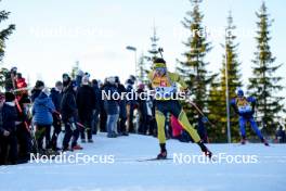 16.11.2024, Sjusjoen, Norway (NOR): Sebastian Joberg Horn (NOR) - Biathlon Season Opening, sprint, Sjusjoen (NOR). www.nordicfocus.com. © Nordnes/NordicFocus. Every downloaded picture is fee-liable.