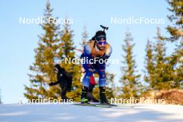 16.11.2024, Sjusjoen, Norway (NOR): Patrick Braunhofer (ITA) - Biathlon Season Opening, sprint, Sjusjoen (NOR). www.nordicfocus.com. © Nordnes/NordicFocus. Every downloaded picture is fee-liable.