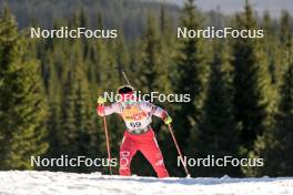 16.11.2024, Sjusjoen, Norway (NOR): Anna Maka (POL) - Biathlon Season Opening, sprint, Sjusjoen (NOR). www.nordicfocus.com. © Nordnes/NordicFocus. Every downloaded picture is fee-liable.