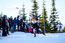 16.11.2024, Sjusjoen, Norway (NOR): Samuel Stig Tyvold (NOR) - Biathlon Season Opening, sprint, Sjusjoen (NOR). www.nordicfocus.com. © Nordnes/NordicFocus. Every downloaded picture is fee-liable.