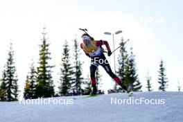 16.11.2024, Sjusjoen, Norway (NOR): Joachim Weel Rosbo (DEN) - Biathlon Season Opening, sprint, Sjusjoen (NOR). www.nordicfocus.com. © Nordnes/NordicFocus. Every downloaded picture is fee-liable.