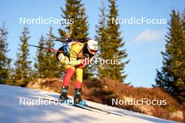 16.11.2024, Sjusjoen, Norway (NOR): César Beauvais (BEL) - Biathlon Season Opening, sprint, Sjusjoen (NOR). www.nordicfocus.com. © Nordnes/NordicFocus. Every downloaded picture is fee-liable.