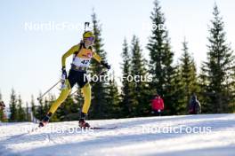 16.11.2024, Sjusjoen, Norway (NOR): Julie Baverel (NOR) - Biathlon Season Opening, sprint, Sjusjoen (NOR). www.nordicfocus.com. © Nordnes/NordicFocus. Every downloaded picture is fee-liable.