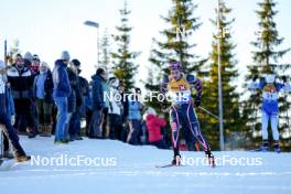 16.11.2024, Sjusjoen, Norway (NOR): Jakob Wallenius (NOR) - Biathlon Season Opening, sprint, Sjusjoen (NOR). www.nordicfocus.com. © Nordnes/NordicFocus. Every downloaded picture is fee-liable.