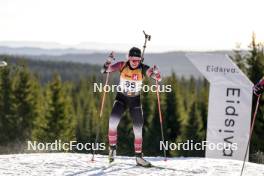 16.11.2024, Sjusjoen, Norway (NOR): Malin Auganaes Bergtun (NOR) - Biathlon Season Opening, sprint, Sjusjoen (NOR). www.nordicfocus.com. © Nordnes/NordicFocus. Every downloaded picture is fee-liable.