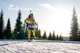 16.11.2024, Sjusjoen, Norway (NOR): Tuva Jorde (NOR) - Biathlon Season Opening, sprint, Sjusjoen (NOR). www.nordicfocus.com. © Nordnes/NordicFocus. Every downloaded picture is fee-liable.