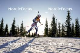 16.11.2024, Sjusjoen, Norway (NOR): Eline Myren (NOR) - Biathlon Season Opening, sprint, Sjusjoen (NOR). www.nordicfocus.com. © Nordnes/NordicFocus. Every downloaded picture is fee-liable.