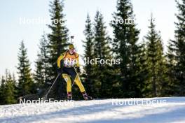 16.11.2024, Sjusjoen, Norway (NOR): Elise Lien Seland (NOR) - Biathlon Season Opening, sprint, Sjusjoen (NOR). www.nordicfocus.com. © Nordnes/NordicFocus. Every downloaded picture is fee-liable.