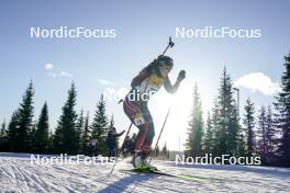 16.11.2024, Sjusjoen, Norway (NOR): Gro Njoelstad Randby (NOR) - Biathlon Season Opening, sprint, Sjusjoen (NOR). www.nordicfocus.com. © Nordnes/NordicFocus. Every downloaded picture is fee-liable.