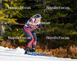 15.11.2024, Sjusjoen, Norway (NOR): Juni Arnekleiv (NOR) - Biathlon Season Opening, training, Sjusjoen (NOR). www.nordicfocus.com. © Nordnes/NordicFocus. Every downloaded picture is fee-liable.