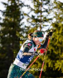 15.11.2024, Sjusjoen, Norway (NOR): Sara Urumova (LTU) - Biathlon Season Opening, training, Sjusjoen (NOR). www.nordicfocus.com. © Nordnes/NordicFocus. Every downloaded picture is fee-liable.