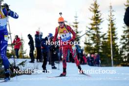 16.11.2024, Sjusjoen, Norway (NOR): Edvard Haugen (NOR) - Biathlon Season Opening, sprint, Sjusjoen (NOR). www.nordicfocus.com. © Nordnes/NordicFocus. Every downloaded picture is fee-liable.