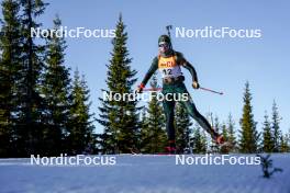 16.11.2024, Sjusjoen, Norway (NOR): Lidiia Zhurauskaite (LTU) - Biathlon Season Opening, sprint, Sjusjoen (NOR). www.nordicfocus.com. © Nordnes/NordicFocus. Every downloaded picture is fee-liable.