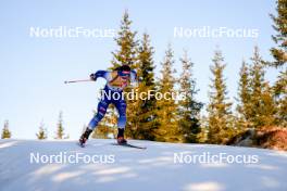 16.11.2024, Sjusjoen, Norway (NOR): Tommaso Giacomel (ITA) - Biathlon Season Opening, sprint, Sjusjoen (NOR). www.nordicfocus.com. © Nordnes/NordicFocus. Every downloaded picture is fee-liable.