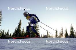 16.11.2024, Sjusjoen, Norway (NOR): Hogne Findal Skar (NOR) - Biathlon Season Opening, sprint, Sjusjoen (NOR). www.nordicfocus.com. © Nordnes/NordicFocus. Every downloaded picture is fee-liable.