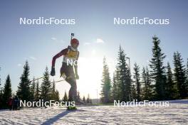 16.11.2024, Sjusjoen, Norway (NOR): Anastasia Kuzmina (SVK) - Biathlon Season Opening, sprint, Sjusjoen (NOR). www.nordicfocus.com. © Nordnes/NordicFocus. Every downloaded picture is fee-liable.