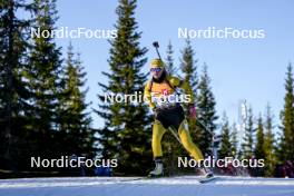 16.11.2024, Sjusjoen, Norway (NOR): Hannecke Lergaard Rotter (NOR) - Biathlon Season Opening, sprint, Sjusjoen (NOR). www.nordicfocus.com. © Nordnes/NordicFocus. Every downloaded picture is fee-liable.