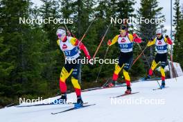 15.11.2024, Sjusjoen, Norway (NOR): Thierry Langer (BEL), Florent Claude (BEL), Cesar Beauvais (BEL) (l-r)- Biathlon Season Opening, training, Sjusjoen (NOR). www.nordicfocus.com. © Nordnes/NordicFocus. Every downloaded picture is fee-liable.