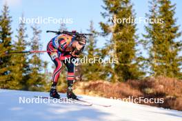 16.11.2024, Sjusjoen, Norway (NOR): Endre Stroemsheim (NOR) - Biathlon Season Opening, sprint, Sjusjoen (NOR). www.nordicfocus.com. © Nordnes/NordicFocus. Every downloaded picture is fee-liable.