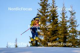 16.11.2024, Sjusjoen, Norway (NOR): Dmytro Pidruchnyi (UKR) - Biathlon Season Opening, sprint, Sjusjoen (NOR). www.nordicfocus.com. © Nordnes/NordicFocus. Every downloaded picture is fee-liable.