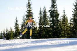 16.11.2024, Sjusjoen, Norway (NOR): Tuva Jorde (NOR) - Biathlon Season Opening, sprint, Sjusjoen (NOR). www.nordicfocus.com. © Nordnes/NordicFocus. Every downloaded picture is fee-liable.