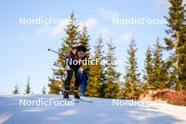 16.11.2024, Sjusjoen, Norway (NOR): William Brekken Ramsfjell (NOR) - Biathlon Season Opening, sprint, Sjusjoen (NOR). www.nordicfocus.com. © Nordnes/NordicFocus. Every downloaded picture is fee-liable.