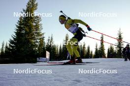 16.11.2024, Sjusjoen, Norway (NOR): Sebastian Joberg Horn (NOR) - Biathlon Season Opening, sprint, Sjusjoen (NOR). www.nordicfocus.com. © Nordnes/NordicFocus. Every downloaded picture is fee-liable.