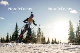 16.11.2024, Sjusjoen, Norway (NOR): Aasne Skrede (NOR) - Biathlon Season Opening, sprint, Sjusjoen (NOR). www.nordicfocus.com. © Nordnes/NordicFocus. Every downloaded picture is fee-liable.