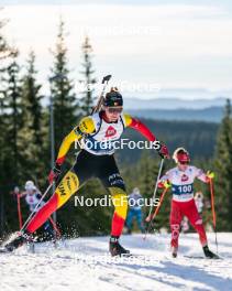 15.11.2024, Sjusjoen, Norway (NOR): Maya Cloetens (BEL) - Biathlon Season Opening, training, Sjusjoen (NOR). www.nordicfocus.com. © Nordnes/NordicFocus. Every downloaded picture is fee-liable.