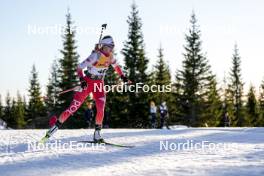 16.11.2024, Sjusjoen, Norway (NOR): Natalia Sidorwicz (POL) - Biathlon Season Opening, sprint, Sjusjoen (NOR). www.nordicfocus.com. © Nordnes/NordicFocus. Every downloaded picture is fee-liable.