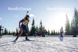 16.11.2024, Sjusjoen, Norway (NOR): Ingrid Landmark Tandrevold (NOR) - Biathlon Season Opening, sprint, Sjusjoen (NOR). www.nordicfocus.com. © Nordnes/NordicFocus. Every downloaded picture is fee-liable.