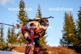 16.11.2024, Sjusjoen, Norway (NOR): Vebjoern Soerum (NOR) - Biathlon Season Opening, sprint, Sjusjoen (NOR). www.nordicfocus.com. © Nordnes/NordicFocus. Every downloaded picture is fee-liable.