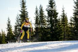 16.11.2024, Sjusjoen, Norway (NOR): Hannecke Lergaard Rotter (NOR) - Biathlon Season Opening, sprint, Sjusjoen (NOR). www.nordicfocus.com. © Nordnes/NordicFocus. Every downloaded picture is fee-liable.