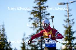 16.11.2024, Sjusjoen, Norway (NOR): Asbjoern Christian Boye (NOR) - Biathlon Season Opening, sprint, Sjusjoen (NOR). www.nordicfocus.com. © Nordnes/NordicFocus. Every downloaded picture is fee-liable.