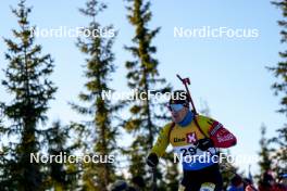 16.11.2024, Sjusjoen, Norway (NOR): Florent Claude (BEL) - Biathlon Season Opening, sprint, Sjusjoen (NOR). www.nordicfocus.com. © Nordnes/NordicFocus. Every downloaded picture is fee-liable.