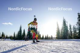 16.11.2024, Sjusjoen, Norway (NOR): Maya Cloetens (BEL) - Biathlon Season Opening, sprint, Sjusjoen (NOR). www.nordicfocus.com. © Nordnes/NordicFocus. Every downloaded picture is fee-liable.