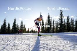 16.11.2024, Sjusjoen, Norway (NOR): Maren Hjelmeset Kirkeeide (NOR) - Biathlon Season Opening, sprint, Sjusjoen (NOR). www.nordicfocus.com. © Nordnes/NordicFocus. Every downloaded picture is fee-liable.