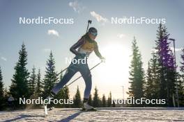 16.11.2024, Sjusjoen, Norway (NOR): Elida Fuglem (NOR) - Biathlon Season Opening, sprint, Sjusjoen (NOR). www.nordicfocus.com. © Nordnes/NordicFocus. Every downloaded picture is fee-liable.