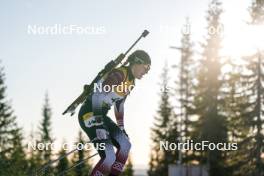 16.11.2024, Sjusjoen, Norway (NOR): Benedicte Schreiner (NOR) - Biathlon Season Opening, sprint, Sjusjoen (NOR). www.nordicfocus.com. © Nordnes/NordicFocus. Every downloaded picture is fee-liable.