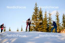 16.11.2024, Sjusjoen, Norway (NOR): Johannes Dale-Skjevdal (NOR) - Biathlon Season Opening, sprint, Sjusjoen (NOR). www.nordicfocus.com. © Nordnes/NordicFocus. Every downloaded picture is fee-liable.