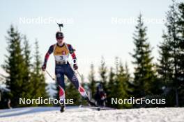 16.11.2024, Sjusjoen, Norway (NOR): Eva Alfstad (NOR) - Biathlon Season Opening, sprint, Sjusjoen (NOR). www.nordicfocus.com. © Nordnes/NordicFocus. Every downloaded picture is fee-liable.