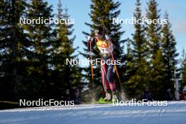 16.11.2024, Sjusjoen, Norway (NOR): Ragna Fodstad (NOR) - Biathlon Season Opening, sprint, Sjusjoen (NOR). www.nordicfocus.com. © Nordnes/NordicFocus. Every downloaded picture is fee-liable.