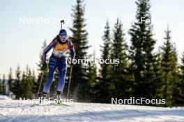 16.11.2024, Sjusjoen, Norway (NOR): Elida Fuglem (NOR) - Biathlon Season Opening, sprint, Sjusjoen (NOR). www.nordicfocus.com. © Nordnes/NordicFocus. Every downloaded picture is fee-liable.