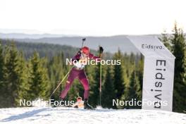 16.11.2024, Sjusjoen, Norway (NOR): Anastasia Kuzmina (SVK) - Biathlon Season Opening, sprint, Sjusjoen (NOR). www.nordicfocus.com. © Nordnes/NordicFocus. Every downloaded picture is fee-liable.