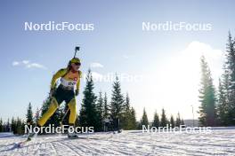 16.11.2024, Sjusjoen, Norway (NOR): Eline Grue (NOR) - Biathlon Season Opening, sprint, Sjusjoen (NOR). www.nordicfocus.com. © Nordnes/NordicFocus. Every downloaded picture is fee-liable.