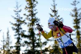 16.11.2024, Sjusjoen, Norway (NOR): Sam Parmantier (BEL) - Biathlon Season Opening, sprint, Sjusjoen (NOR). www.nordicfocus.com. © Nordnes/NordicFocus. Every downloaded picture is fee-liable.