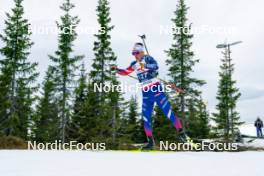 15.11.2024, Sjusjoen, Norway (NOR): Oscar Lombardot (FRA) - Biathlon Season Opening, training, Sjusjoen (NOR). www.nordicfocus.com. © Nordnes/NordicFocus. Every downloaded picture is fee-liable.