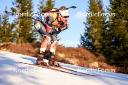 16.11.2024, Sjusjoen, Norway (NOR): Mads Bjerke (NOR) - Biathlon Season Opening, sprint, Sjusjoen (NOR). www.nordicfocus.com. © Nordnes/NordicFocus. Every downloaded picture is fee-liable.